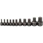 81560 11 Pc. Metrik Anahtar Torx Bit-Set, Siyah - standart