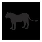 90 cm Aslan Folyo Sticker