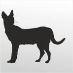 90 cm Kedi Folyo Sticker
