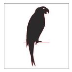90 cm Papağan Folyo Sticker