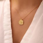 925 Ayar Gümüş Zirkon Taşlı Anka Kuşu Figürlü Madalyon Kolye (Gold)