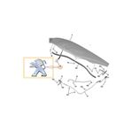 9678484880 Peugeot 301 2012 Motor Kaput Aslan Logo