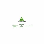 9960168 Stop Lamba Camı Sol