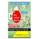 A Boy Called Merlin: Goodnight Stories for Big Kids 3