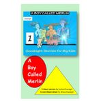 A Boy Called Merlin: Goodnight Stories for Big Kids