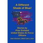 A Different Shade of Blue: Stories by United States Air Force Prior Enlisted Officers