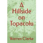 A Hillside on Topacolu