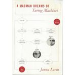 A Madman Dreams of Turing Machines
