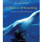 A Shimmer of Something: Lean Stories of Spiritual Substance by Doyle, Brian (2014) Paperback