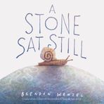 A Stone Sat Still - Brendan Wenzel