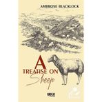 A Treatise On Sheep - Ambrose Blacklock