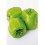A-z Tohum Biber Hibrit BİBER A-Z-22 F1 DOLMA - 20 Adet Tohumluk