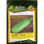 A-z Tohum Kabak Hibrit A-Z-1040 F1 AMPUL KABAK - 20 Adet Tohumluk