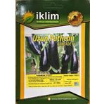 A-z Tohum Patlıcan Hibrit A-Z-61 F1 KLASİK PATLICAN - 20 Adet Tohumluk