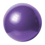 A101 Mor 55 cm Pilates Topu