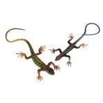 Abaodam 2 Adet Dört Ayaklı Yılan Kertenkele Skink Oyuncak küçük dünya oyuncakları minyatürler Çocuk oyuncakları oyuncak hayvanlar açık hava oyun seti açık oyuncaklar mini kukla kurbağa