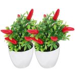 Abaodam 2 Adet Plastik Çiçekler Bonzai Plastik Sahte Biber Saksı Biber Biber Ağacı Bonsai Biber Ağacı Bonsai Saksılı Saksı Biber Ağacı Bonsai Mor Bonsai Ağacı Köpük Yapay Meyve Ağacı