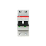 ABB 2CDS252001R0064 S202-C 2x6A 6kA Otomatik Sigorta