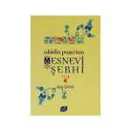 ABIDIN PAŞA´NIN MESNEVI ŞERHİ - İSA ÇELİK