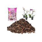 abnturk 9 Litre Organik Doğal Karışım Orkide Toprağı 1. Sınıf Dezenfekte Orkide Harcı Torf