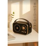 abnturk Nostaljik Görünümlü Elde Taşınabilir Siyah Renk Radyo Kablolu USB, TYPE-C, TF Kart Girişi, 12×8×6 Cm
