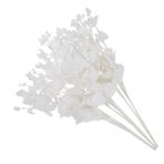 ABOOFAN 3 Adet Simüle Okaliptüs Yaprakları Asmaları çi Bitki Okaliptüs Sapları Sukulentler Açık Hava Ev Yapay Ağaç Dalları Daha Yeşil Sahte Rattan Beyaz Plastik İpek Çiçek