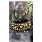 Ac Leather Deri Köpek Boyun Tasması