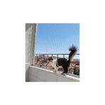 Ace Kedi, Kuş, Kümes Bahçe Ağı Filesi, Balkon Plastik Döküm Filesi - 2x3 METRE