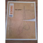 Acemi Aktüel Edebiyat Dergisi Mart-Nisan 2014 Sayı:13 "Ulaş Işıklar İle Gece Gelen Bir Söyleşi" (Sahafiye Kitap)