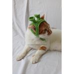 Açık Yeşil Shrek Bandana Şrek Örgü Kedi Köpek Şapkası Evcil Hayvan Şapkası Komik Pet Aksesuarları