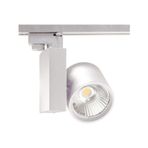 ACK AD30-04000 Cob 3000K Beyaz 30W Led Spot