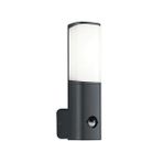 ACK AG43-01002 6W Tarus WLS 3000K Sensörlü Led Bahçe Apliği