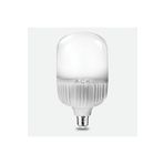 Ack Led Jumbo Ampul Iç Mekan Beyaz 30 W 220 Vac E27 Aa13-03023