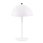ACK Modern Metal Masa Lambası, Dimlenebilir LED CCT, Beyaz AF11-20002
