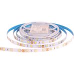ACK Serıt Led 6500k 12v 4040