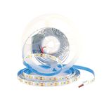 ACK Şerit LED Kırmızı Işık 120 LED 10W/mt 5 Metre AS01-02504