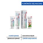 Aclind Dent Shield 15 ml+100 ml+Dent Kids 15 ml Aile Diş Macun Seti