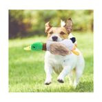Acornbella Sesli Ördek Şekilli Peluş Köpek Oyuncağı
