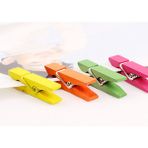 Acousticworld Mini Renkli Mandal