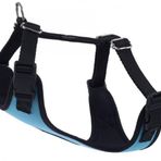 Actirex Cool Dokuma Kumaş Neon Köpek Göğüs Tasması Xs Mavi 30-35cm 2-5 Kg Köpeklere