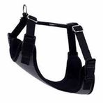 Actirex Neon Cool Gri 40x45 cm Köpek Göğüs Tasması