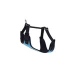 Actirex Neon Cool Mavi 30x35 cm Köpek Göğüs Tasması
