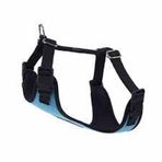 Actirex Neon Cool Mavi 50x70 cm Köpek Göğüs Tasması