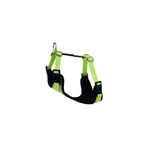 Actirex Neon Cool Sarı 45x55 cm Köpek Göğüs Tasması