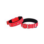 Actirex Neon Kemik Desenli Kırmızı 2.5x42-50 cm Köpek Boyun Tasması