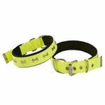 Actirex Neon Kemik Desenli Sarı 3x42-50 cm Köpek Boyun Tasması