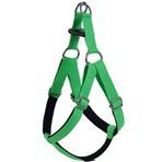 Actirex Xsmall 1.5x35-40 cm Yeşil Neon Köpek Göğüs Tasması