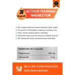 ACTİVUS Fourmag Magnezyum Sitrat Taurat Bisglisinat Mg Malat, B6 Vitamin Kas Desteği Enerji Metabolizması