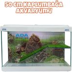 ADA AKVARYUM Bahçeli Rampalı Su Kaplumbağası Akvaryumu 50X30X20 cm Doğal Dinlenme Alanı