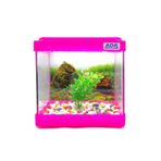 Ada Akvaryum Mini Akvaryum Pembe 20X20X15 Akvaryum Renkli Çakıl Plastik Bitki Arka Fon